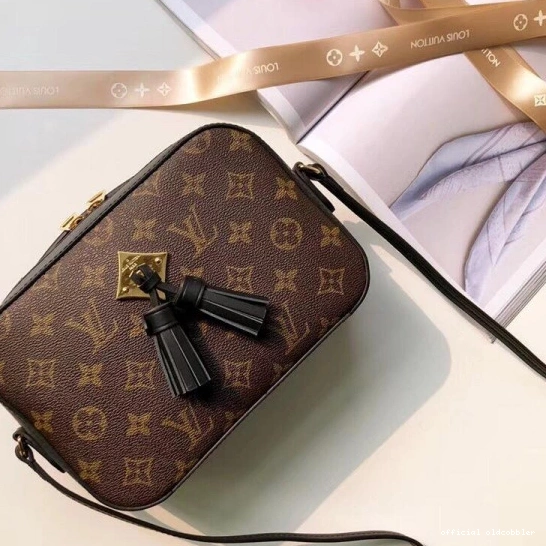 Official oldcobbler LOUIS VUITTON SAINTONGE 0814